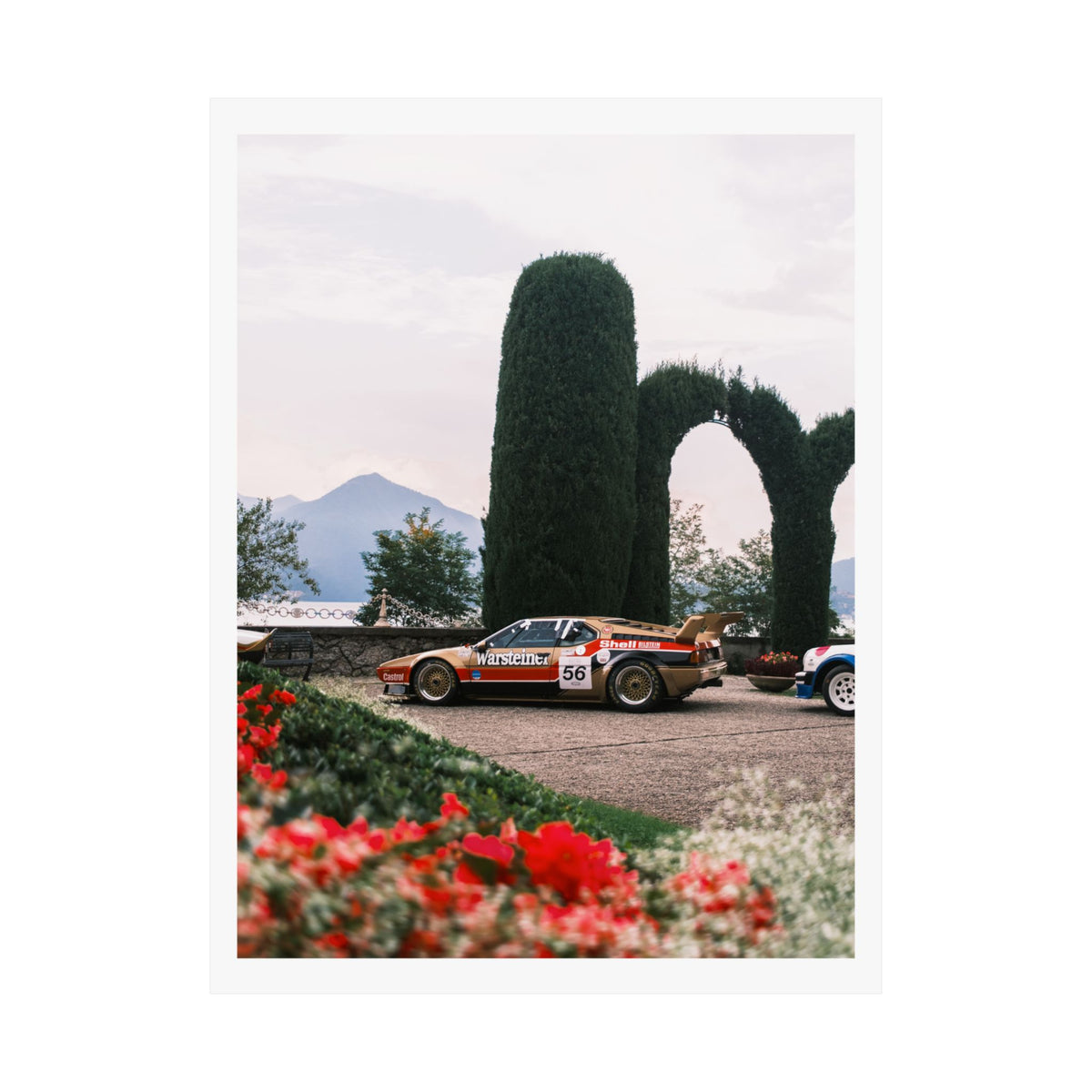 BMW M1 PROCAR