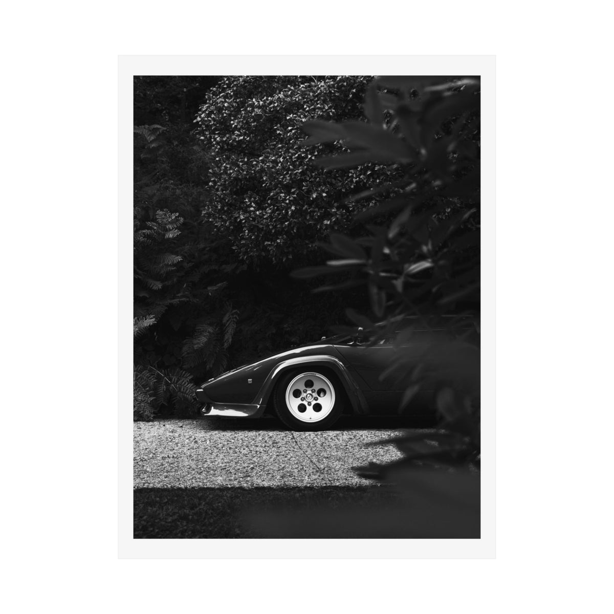 EL DIABLO (B&W)