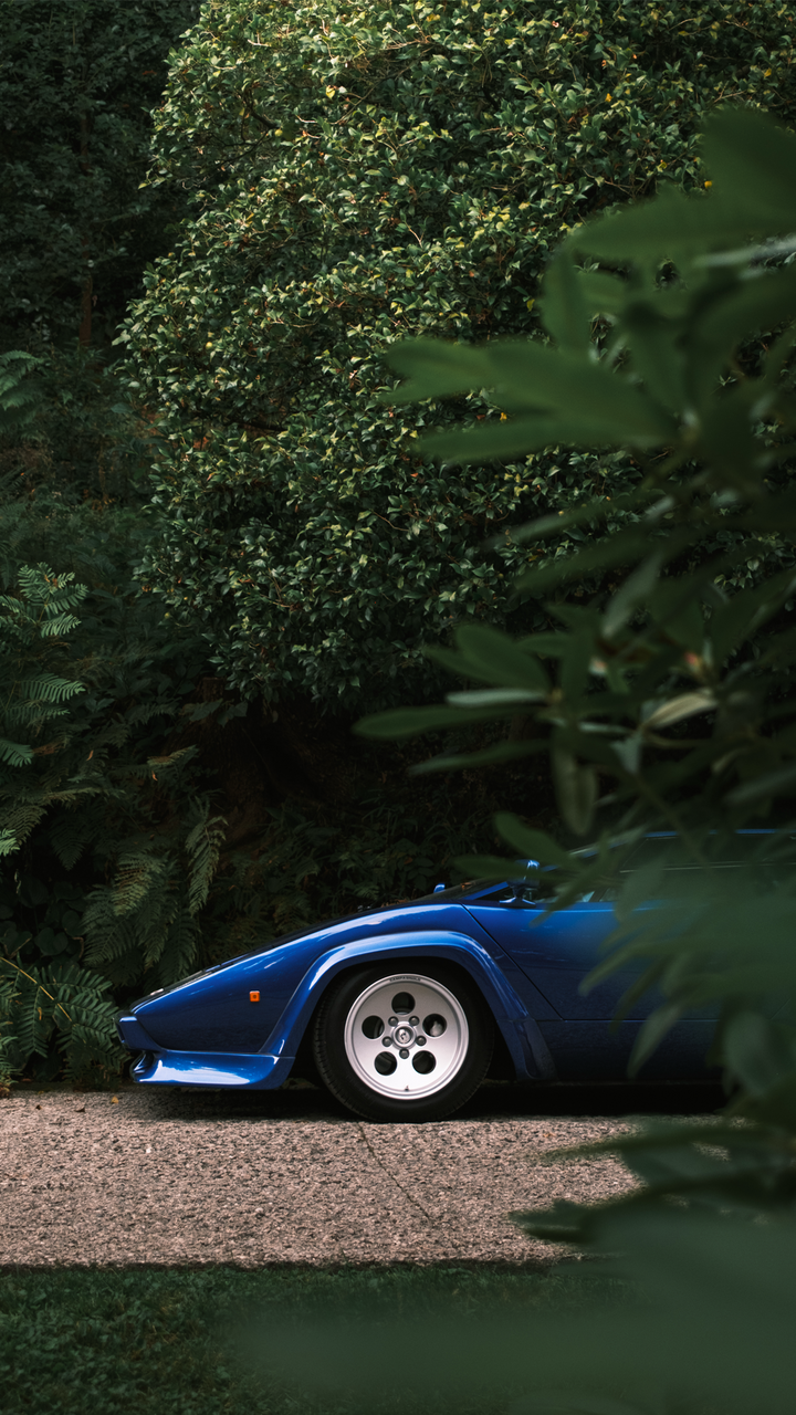  phone wallpaper